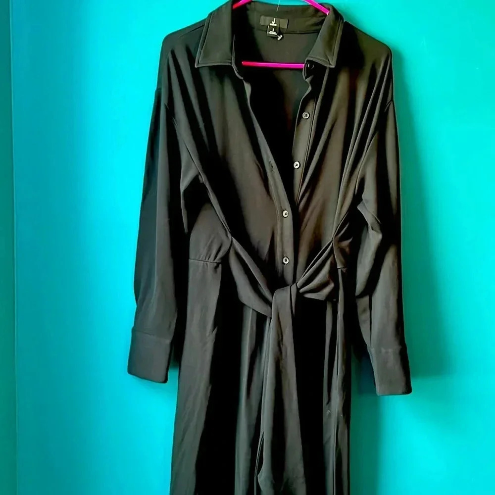 Jason Wu dress